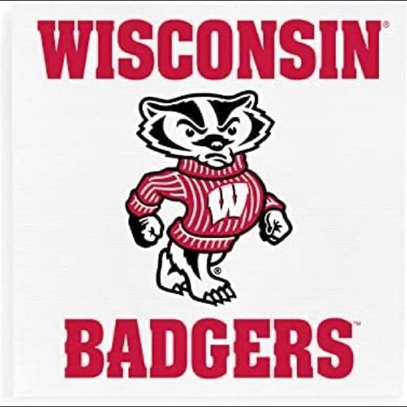 Wisconsin Badger 6 Pc Biggest Fan Kit • NWT - Picture 2 of 9